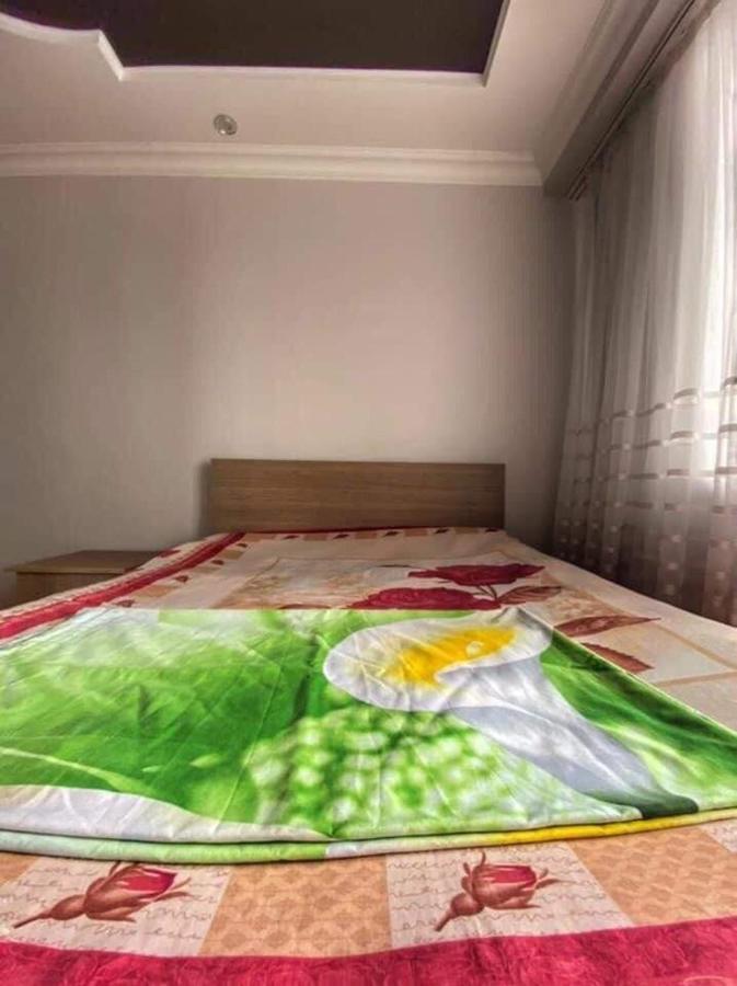 دولفين * باتومي